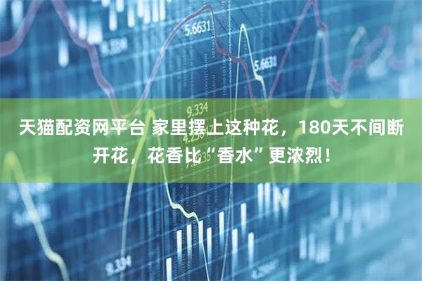 天猫配资网平台 家里摆上这种花，180天不间断开花，花香比“香水”更浓烈！