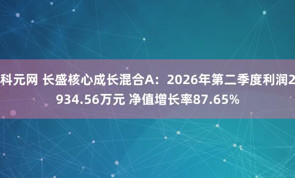 科元网 长盛核心成长混合A：2026年第二季度利润2934.56万元 净值增长率87.65%
